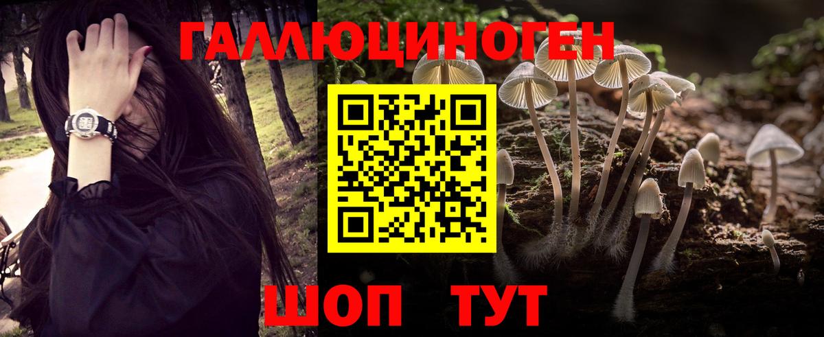 Галлюциногенные грибы MAGIC MUSHROOMS Казань