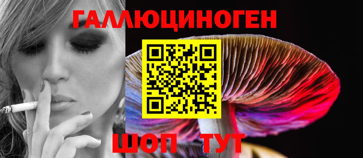 Галлюциногенные грибы Psilocybine cubensis  Вход с VPN  Казань 